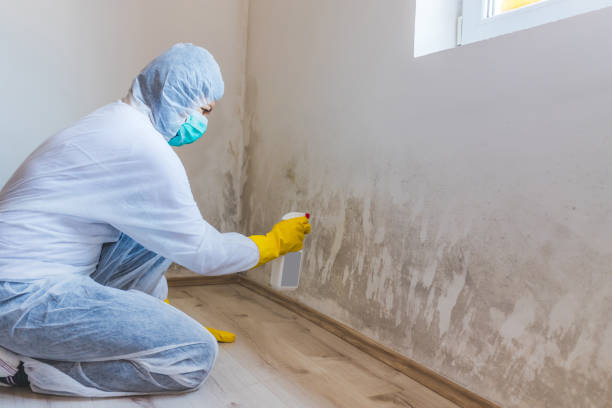 Licensed Bathroom Mold Removal service in Ivor, VA - Mold Remediation HQ