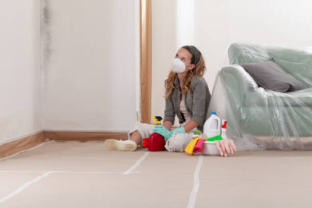 Reliable Bathroom Mold Removal contractor in Ivor, VA by Mold Remediation HQ